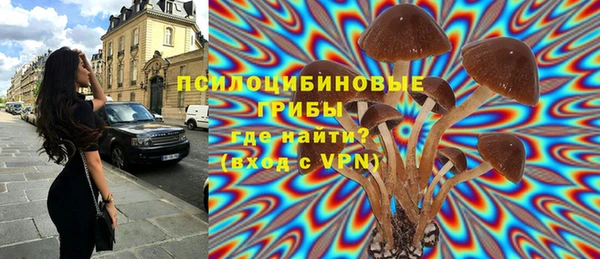первитин Арсеньев