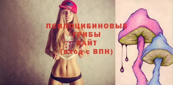 первитин Арсеньев