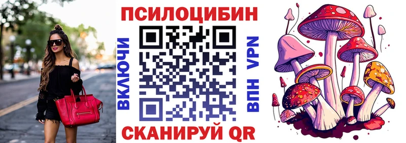 где можно купить   Тимашёвск  OMG ONION  Псилоцибиновые грибы GOLDEN TEACHER 